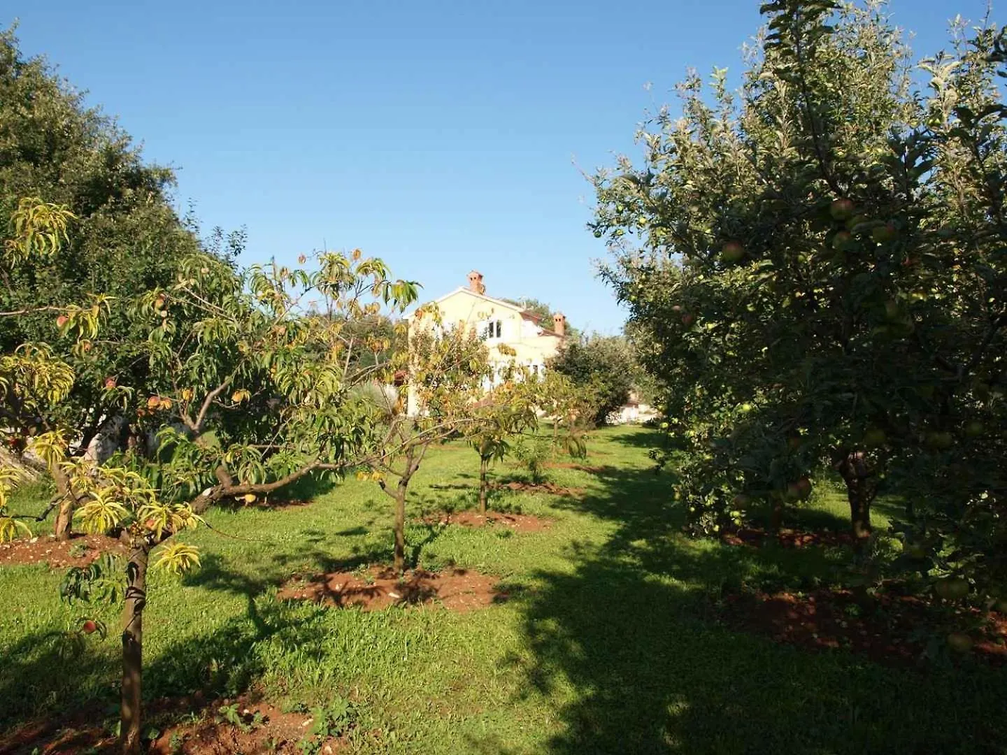 Apartment In Tinjan/Istrien 38387 Hırvatistan